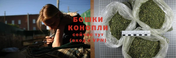 спиды Богородицк