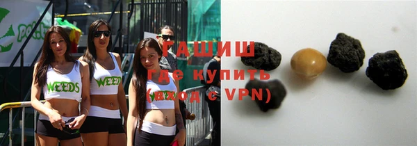 спиды Богородицк