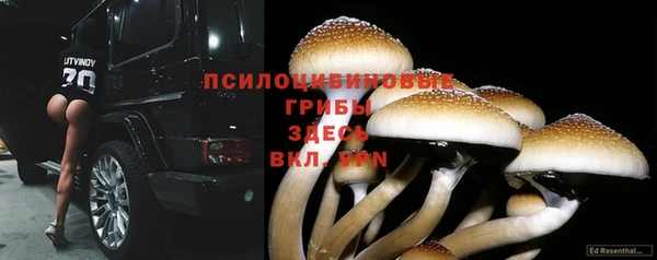 стафф Белоозёрский