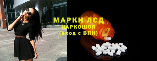 сатива Белокуриха