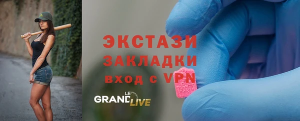 спиды Богородицк