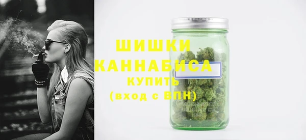 сатива Белокуриха