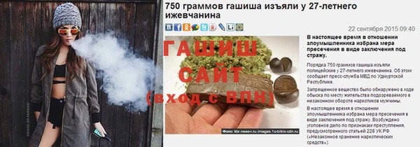 сатива Белокуриха